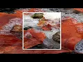 HAROLD BUDD & BRIAN ENO - Foreshadowed