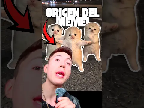 CÓMO se CREÓ el MEME de “LOS GATOS BAILANDO”?😱🤯🌚💀#short #sabiasque #meme #catdance #epic