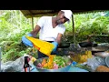 Jamaican Food KING OF CURRY GOAT Oxtail and Ackee in Montego Bay Jamaica