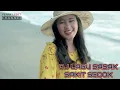 Download Lagu Dj sasak terbaru  (sakit sedok) @FerryLEBET