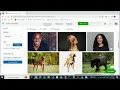 Object detection with Azure Custom Vision