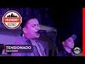 Download Lagu Soapdish - Tensionado | Hungry District