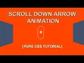 How To Make An Website Scroll Down Arrow Animations Using HTML and CSS Only Down Arrow Effects