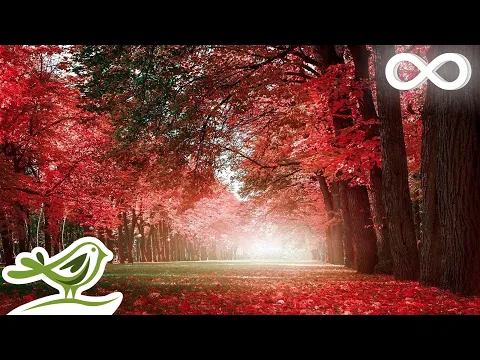 Download MP3 Beautiful Relaxing Music - Romantic Music with Piano, Cello, Guitar & Violin | \