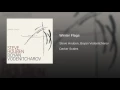 Winter Flags