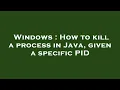 Windows How to kill a process in Java given a specific PID