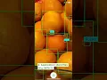 Clarifruit s AI-driven Quality Control platform