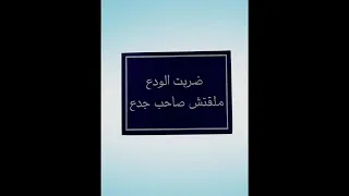 اجمد مهرجان      ضربت الودع هيكسر الدنيا دندنها
