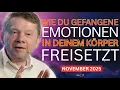 Download Lagu Wie du gefangene Emotionen freisetzt - Eckhart Tolle