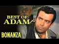 BEST of Adam Pernell Roberts Bonanza Western