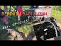 Download Lagu BERBURU BABI HUTAN. 92025 Eps. 01. Ga....Long Range .....Ga...Seru......
