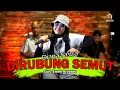DIRUBUNG SEMUT - DIANA SASTRA