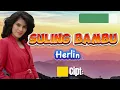 HERLINA EFFENDY - SULING BAMBU | OFFICIAL KARAOKE ORIGINAL 