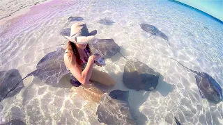 HONEYMOON Island Hand-feeding STINGRAYS! – Bums on a Boat Ep 35