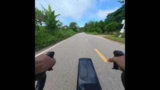                          دندنها