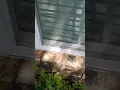 Window Cleaning Bedford Texas