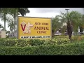 Welcome to Arch Creek Animal Clinic