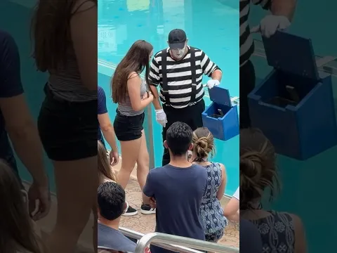 We cannot get enough of this man 😂 Tom mime Seaworld