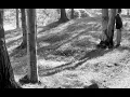 Van Morrison - In The Garden
