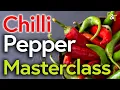 Download Lagu Kelas Master Membuat Cabai - Pot \u0026 Sekop