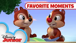 nutty tales compilation favorite moments chip n dales nutty tales disneyjr
