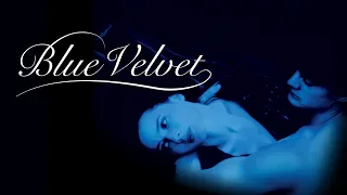 Blue Velvet | Bande-annonce VOSTF (HD | 1080p)