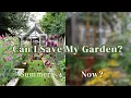 Download Lagu De eerlijke tuintour: ik heb mijn tuin een maand lang niet bewaterd | Cottage Garden Vlog