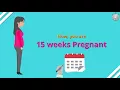 How Many Months Pregnant You are at 15th Week of Pregnancy Part 1