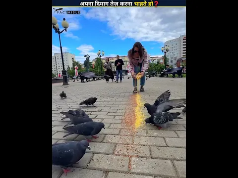 DON'T UNDERESTIMATE BIRDS 😱