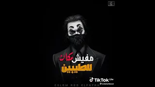 البحراوى النمر 