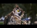 Fingers