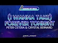 I Wanna Take Forever Tonight - Peter Cetera Crystal Bernard KARAOKE OFF VOCAL