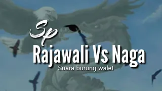 Download Sp. Rajawali vs Naga MP3