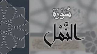 سورة النمل القارئ عبدالرحمن الماجد Quran Surat An Naml 