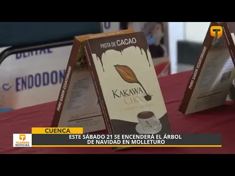 Este sábado 21 se encenderá el árbol de navidad en Molleturo