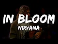 Nirvana - In Bloom