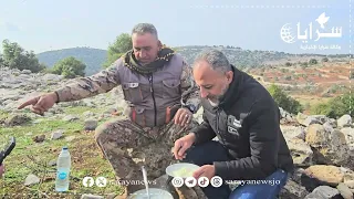 ما تعرفون عن الشمندور  دندنها