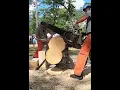 Download Lagu Huge Fast Chainsaw! #viral #shorts #chainsaw #new