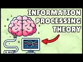 Information Processing Theory - Easiest Explanation