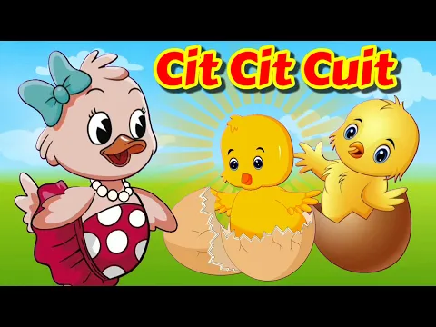 Download MP3 Cit Cit Cuit - Lagu Anak Anak - Terlaris Dan Populer