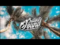 Post Malone - Circles Rizki Remix