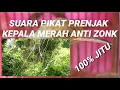Download Lagu SUARA PIKAT PRENJAK KEPALA MERAH ANTI ZONK 100% JITU