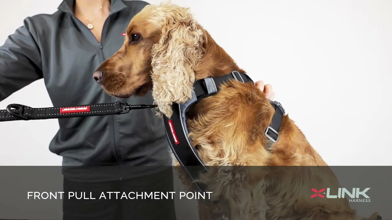 EzyDog X-Link™ Dog Harness – Black (DISCONTINUED)