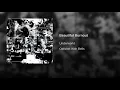 Beautiful Burnout - Underworld