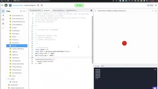 JavaScript Beginner PROJECT BOUNCING BALL