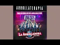 Morena (En Vivo) - La Arrolladora Banda El Limón 