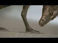 When you re a baby in Prehistoric Planet
