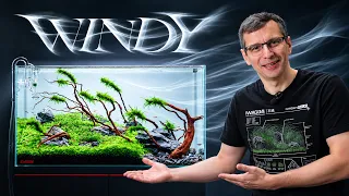 I Created a WINDBLOWN Planted Aquarium with PERFECT Monte Carlo Carpet
