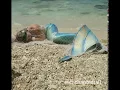 Download Lagu MERMAID CAUGHT IN FISHING NET
