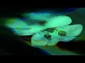 Daniel Avery - Ultra Truth